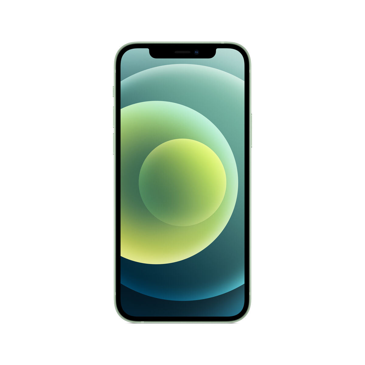 Apple iPhone 12 A14 Vert 6,1" 64 Go - Ideal Electro