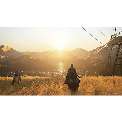 The Last of Us Part II - PS4 - ClicGame